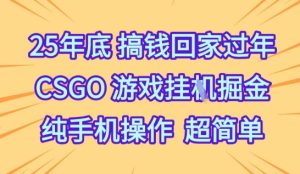 25年底搞钱回家过年，CSGO游戏挂G掘金，纯手机操作超简单【揭秘】-网赚资源网