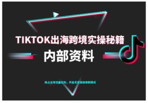 TikTok跨境电商0-1搭建运营，TK出海跨境实操秘籍（10月更新）-网赚资源网