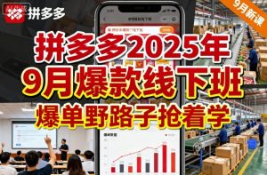 拼多多2025年9月爆款线下班，爆单野路子抢着学 - 网赚资源网-网赚资源网