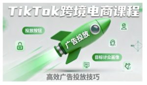 TikTok跨境电商全流程实操课，助力从业者掌握TikTok跨境电商运营核心技能，高效开展业务 - 网赚资源网-网赚资源网