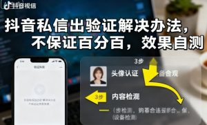 抖音私信出验证解决办法，不保证百分百，效果自测 - 网赚资源网-网赚资源网