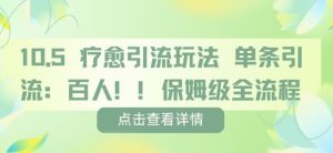 疗愈引流玩法，单条引流百人，保姆级全流程 - 网赚资源网-网赚资源网