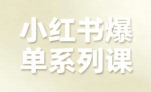 小红书爆单系列课，聚焦小红书电商全链路增长 - 网赚资源网-网赚资源网
