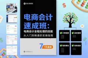 电商会计速成班，电商会计全程处理的技能 - 网赚资源网-网赚资源网