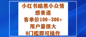 小红书暗黑小众情感赛道，客单价100-300+用户量很大，0门槛即可操作 - 网赚资源网-网赚资源网