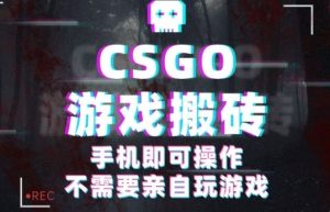CSGO游戏挂G捡漏，单日扫货5张+，年底小高峰上车可吃肉，手机即可操作，兼职副业创业网创【揭秘】 - 网赚资源网-网赚资源网