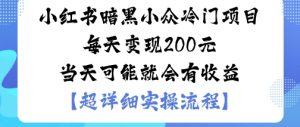 小红书暗黑小众冷门项目每天变现2张当天可能就会有收益 - 网赚资源网-网赚资源网