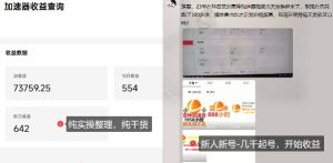 游戏加速器项目4.0_最新打法思路(爱玩游戏也能边玩边被动收益)-网赚资源网