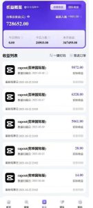 2025风口TK剪映capcut拉新项目,极限高客单,市场空白,2025下半年真正的蓝海项目-网赚资源网