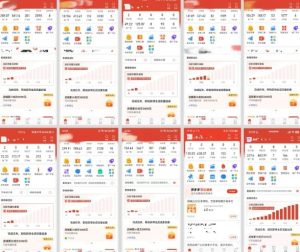 拼多多虚拟电商，门槛低，搬运上架，操作起来简单粗暴，单人单店三位数，可矩阵-网赚资源网