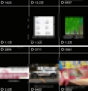 抖音引流创业粉教程,创业粉终于跑通了,私域是永远的王-网赚资源网