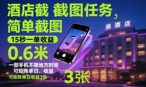 酒店截图任务，简单截图，15秒一单收益0.6米，一部手机不限地方时间，可矩阵单日收益3张【揭秘】-网赚资源网
