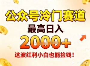 公众号冷门赛道,最高日入1k+,这波红利小白也能捡钱!-网赚资源网