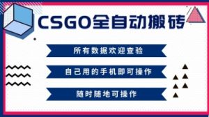 CSGO全自动搬砖,年底钱回家好项目,当天可拿到结果,新手小白轻松月入1W+【揭秘】-网赚资源网