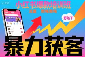 小红书爆款培训班，小红书获客野路子流量打法，暴力持续获客-网赚资源网