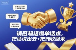 销冠超级爆单话术，把话说出去+把钱收回来-网赚资源网