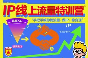 IP线上流量特训营，手把手教你搞流量、做IP、稳变现-网赚资源网