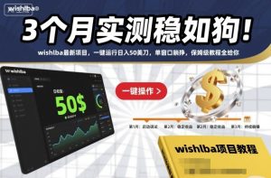 3个月实测稳如狗！wishlba最新项目，一键运行日入50美刀，单窗口躺挣，保姆级教程全给你【揭秘】-网赚资源网