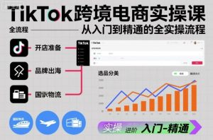 TikTok跨境电商实操课，从入门到精通的全实操流程-网赚资源网