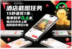 酒店截图任务,15秒速完1单,每单到手0.6米,每日任务无上限,全网首发玩法,矩阵操作单日3张【揭秘】-网赚资源网