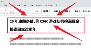 25年底翻身仗，靠CSGO游戏挂G捡漏掘金，搞钱回家过肥年【揭秘】-网赚资源网
