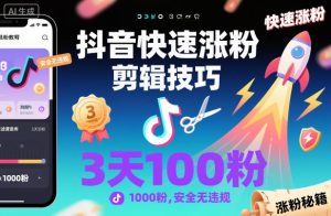 抖音快速涨粉剪辑技巧，3天1000粉，安全无违规-网赚资源网