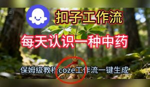 Coze扣子工作流一键生成每天认识一种中药短视频，保姆级搭建教学-网赚资源网