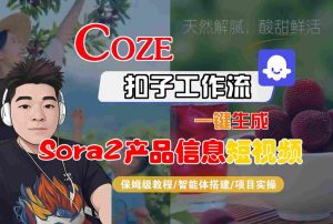 Coze扣子智能体工作流一键生成“SORA2产品信息“短视频，全流程保姆级教学-网赚资源网