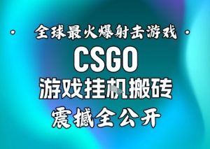 【年底大揭秘】基于全球最火爆的射击CSGO游戏挂G搬砖，日入5张+，震撼公开-网赚资源网