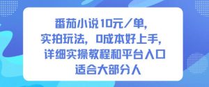 番茄小说10米每单，实拍玩法，0成本好上手，详细实操教程和平台入口适合大部分人-网赚资源网