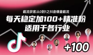 截流获客从0到1之抖音爆量截流,每天稳定加100+精准粉,适用于各行业-网赚资源网