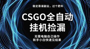 【稳定副业】全球最热门游戏CSGO全自动捡漏，最新玩法，新手小白日入5张+【揭秘】-网赚资源网
