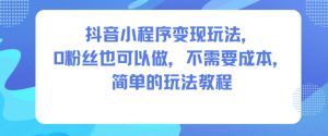 抖音小程序变现玩法,0粉丝也可以做,不需要成本,简单的玩法教程-网赚资源网