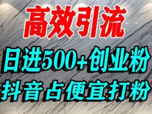 怎么打创业粉?抖音利用占便宜心理引流创业粉,单人日引500+精准流量-网赚资源网