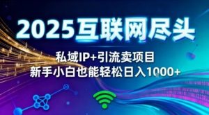 2025网创尽头王炸项目!私域IP+精准引流,新手小白在家躺賺日入1k,零经验也能上手【揭秘】-网赚资源网