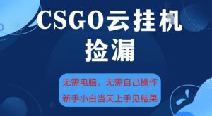 CSGO云挂G全自动捡漏，最新独家玩法，无需电脑操作，新手小白日入5张+【揭秘】-网赚资源网
