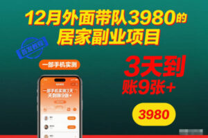 12月外面带队3980的居家副业项目，一部手机实测3天到账9张+，首发教程【揭秘】-网赚资源网