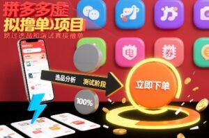 拼多多虚拟撸单项目，跳过选品和测试直接撸单-网赚资源网