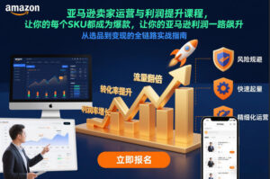 亚马逊卖家运营与利润提升课程，让你的每个SKU都成为爆款，让你的亚马逊利润一路飙升（更新12月）-网赚资源网