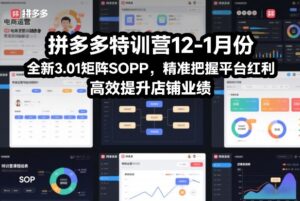拼多多特训营12-1月份，全新3.01矩阵Sop，精准把握平台红利，高效提升店铺业绩-网赚资源网