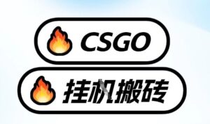 真全网独家CSGO挂G，最新玩法,单日捡漏1K+，不用电脑，不用打游戏【揭秘】-网赚资源网