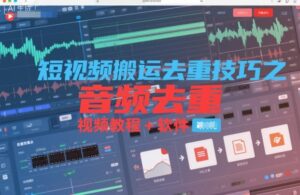 短视频搬运去重技巧之音频去重，视频教程+软件-网赚资源网