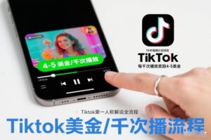 TK中视频计划项目，Tiktok第一人称解说流程，每干次播放奖励4-5美金-网赚资源网