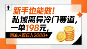 新手也能做！私域离异冷门赛道，一单198，精准人群日入1k+-网赚资源网