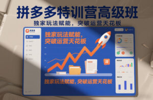 拼多多特训营高阶班，独家玩法赋能，突破运营天花板（更新26年1月）-网赚资源网