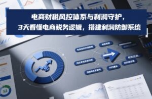 电商财税风控体系与利润守护，3天看懂电商税务逻辑，搭建利润防御系统-网赚资源网