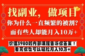 价值3980的网创内部课程，告诉你互联网创业月入10个W的秘密【揭秘】-网赚资源网