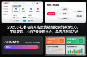 2025小红书电商开店卖货精细化实战教学2.0，不讲废话，小白7天快速学会，单店月利润2W-网赚资源网