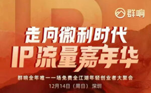 2025ip嘉年华万人12月14深圳线下课，走向微利时代，IP流量嘉年华，实操性极强的商业干货课-网赚资源网