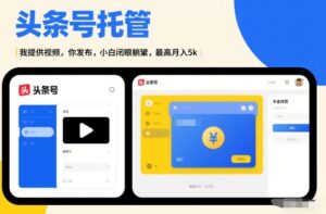 头条号AI托管，我提供视频，你发布，小白闭眼躺賺，最高月入5k+【揭秘】-网赚资源网